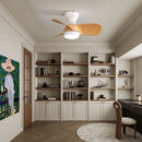 23" Bedroom Ceiling Fan With 3 Color Dimmable 3 ABS Blades Remote Control Dc Motor With 18W Led Light by HouseOfZazla