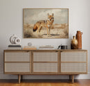 Lone Coyote in the Sun