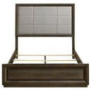 Atlas 63-inch Queen Upholstered Panel Bed Grey and Dark Oak