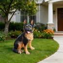 Outdoor Dog Statues German Shepherd Dog Statue for Garden
