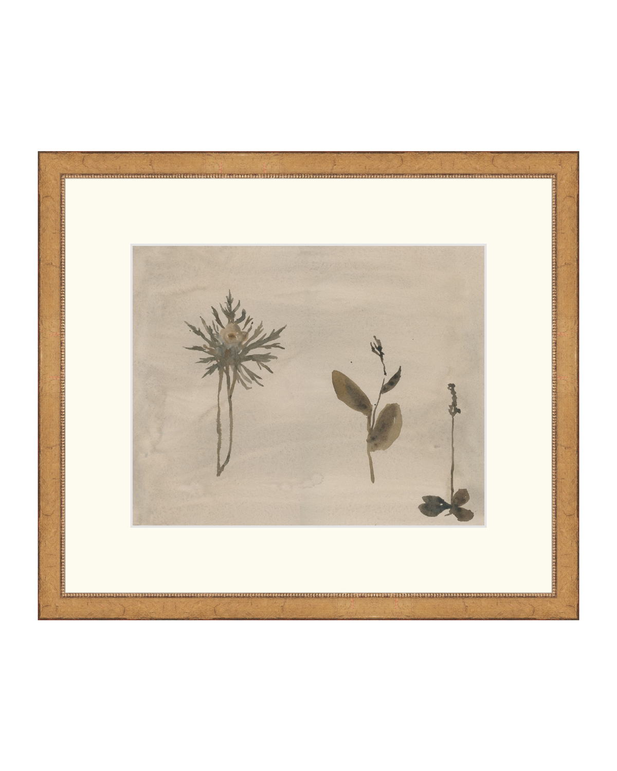 Botanical Thoughts IV, photo 17 of 25