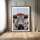Texas Longhorn Wall Art Canvas Print – Spotted Horned Cattle