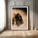 Bison Portrait Wall Art Canvas Print – Framed Western by MyGreatCanvas | Canvas Wall Art Prints | Photo Prints & Wall Decor