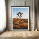 Joshua Tree Wall Art Canvas Print – Framed Golden Hour