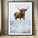 Highland Cow Wall Art Canvas Print – Framed Horned Scottish