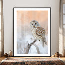 Barred Owl Wall Art Canvas Print – Soft Neutral Wildlife by MyGreatCanvas | Canvas Wall Art Prints | Photo Prints & Wall Decor