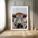 Texas Longhorn Wall Art Canvas Print – Spotted Horned Cattle