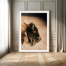 Bison Portrait Wall Art Canvas Print – Framed Western by MyGreatCanvas | Canvas Wall Art Prints | Photo Prints & Wall Decor