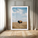 Bison Photography Wall Art Canvas Print – Framed Western