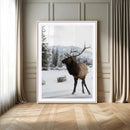 Elk Photography Wall Art Canvas Print – Framed Winter by MyGreatCanvas | Canvas Wall Art Prints | Photo Prints & Wall Decor