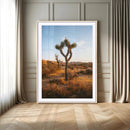 Joshua Tree Wall Art Canvas Print – Framed Golden Hour