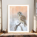 Barred Owl Wall Art Canvas Print – Soft Neutral Wildlife by MyGreatCanvas | Canvas Wall Art Prints | Photo Prints & Wall Decor