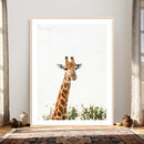 Giraffe Wall Art Canvas Print – Minimal Wildlife Photography by MyGreatCanvas | Canvas Wall Art Prints | Photo Prints & Wall Decor