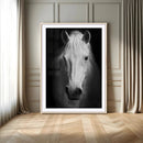 Large Wall Art White Horse Canvas Print