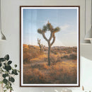Joshua Tree Wall Art Canvas Print – Framed Golden Hour