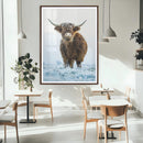 Highland Cow Wall Art Canvas Print – Framed Frosty Winter
