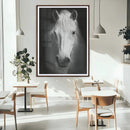 Large Wall Art White Horse Canvas Print