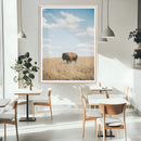 Bison Photography Wall Art Canvas Print – Framed Western
