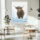 Highland Cow Wall Art Canvas Print – Framed Frosty Winter