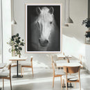 Large Wall Art White Horse Canvas Print