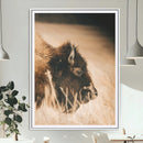 Bison Portrait Wall Art Canvas Print – Framed Western by MyGreatCanvas | Canvas Wall Art Prints | Photo Prints & Wall Decor