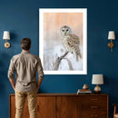 Barred Owl Wall Art Canvas Print – Soft Neutral Wildlife by MyGreatCanvas | Canvas Wall Art Prints | Photo Prints & Wall Decor
