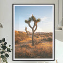 Joshua Tree Wall Art Canvas Print – Framed Golden Hour