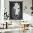 Large Wall Art White Horse Canvas Print