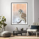 Barred Owl Wall Art Canvas Print – Soft Neutral Wildlife by MyGreatCanvas | Canvas Wall Art Prints | Photo Prints & Wall Decor