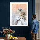 Barred Owl Wall Art Canvas Print – Soft Neutral Wildlife by MyGreatCanvas | Canvas Wall Art Prints | Photo Prints & Wall Decor