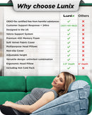 LX8 4-Piece Support for Nighttime Digestive Discomfort & Easier Breathing, Wedge Pillow Set, Cloud Gray with Aloe Vera
