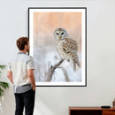 Barred Owl Wall Art Canvas Print – Soft Neutral Wildlife by MyGreatCanvas | Canvas Wall Art Prints | Photo Prints & Wall Decor