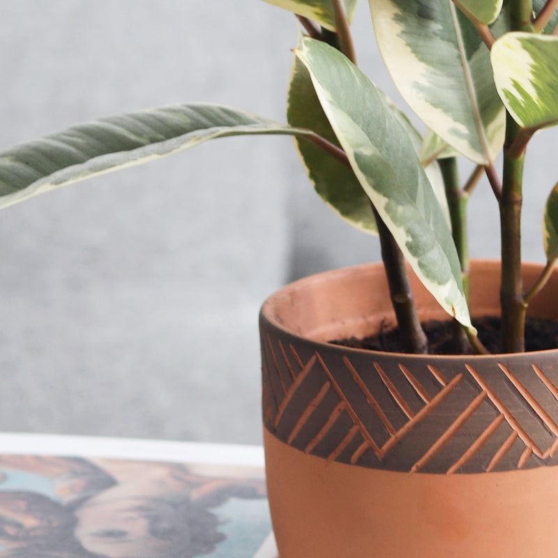 5.5 inch Clay-Black Color Modern Pot