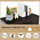 2-Drawer File Cabinet with Lock Hinging Bar Letter and Legal Size by LJGDeals