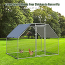 9.5 x 6.5 Feet Large Walk In Chicken Run Cage by LJGDeals