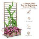 Raised Garden Bed with Trellis for Climbing Plants by LJGDeals