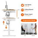 48-Inch Electric Standing Adjustable Desk with Control Panel and USB Port-Natural by LJGDeals
