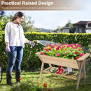 Raised Wood Garden Bed with Shelf and Liner by LJGDeals