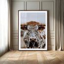 Texas Longhorn Wall Art Canvas Print – Spotted Horned Cattle