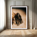 Bison Portrait Wall Art Canvas Print – Framed Western by MyGreatCanvas | Canvas Wall Art Prints | Photo Prints & Wall Decor