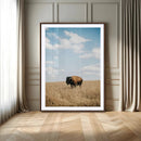 Bison Photography Wall Art Canvas Print – Framed Western
