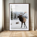 Elk Photography Wall Art Canvas Print – Framed Winter by MyGreatCanvas | Canvas Wall Art Prints | Photo Prints & Wall Decor