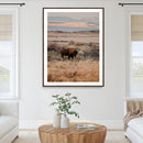 Solitary Buffalo Wall Art Canvas Print – Framed Golden