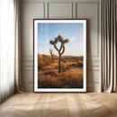 Joshua Tree Wall Art Canvas Print – Framed Golden Hour