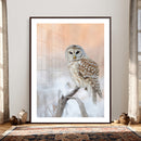 Barred Owl Wall Art Canvas Print – Soft Neutral Wildlife by MyGreatCanvas | Canvas Wall Art Prints | Photo Prints & Wall Decor