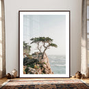 Lone Cypress Canvas Wall Art, Pebble Beach California by MyGreatCanvas | Canvas Wall Art Prints | Photo Prints & Wall Decor