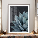 Agave Wall Art Canvas Print, Blue Green Succulent Botanical by MyGreatCanvas | Canvas Wall Art Prints | Photo Prints & Wall Decor