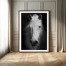 Large Wall Art White Horse Canvas Print