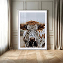 Texas Longhorn Wall Art Canvas Print – Spotted Horned Cattle