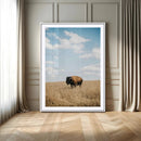 Bison Photography Wall Art Canvas Print – Framed Western by MyGreatCanvas | Canvas Wall Art Prints | Photo Prints & Wall Decor
